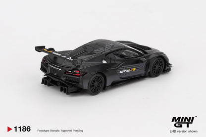 Chevrolet Corvette Z06 GT3.R Road America Test car